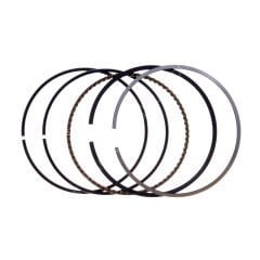 Segman Takım 70 mm Palmera DM51-53