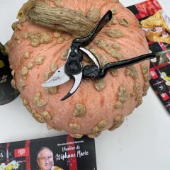 Felco 8 Edition Budama Makası