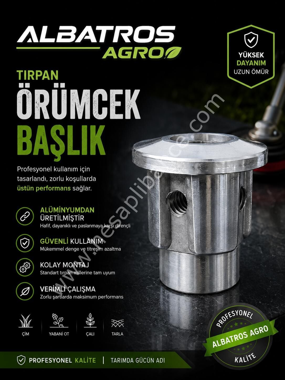Tırpan Örümcek Başlık Mantar Tip