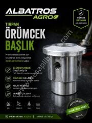 Tırpan Örümcek Başlık Mantar Tip
