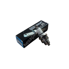 Buji 2 Zamanlı Benzinli Motor L7TC